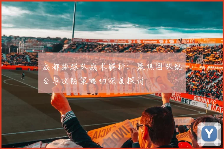 成都排球队战术解析：聚焦团队配合与攻防策略的深度探讨