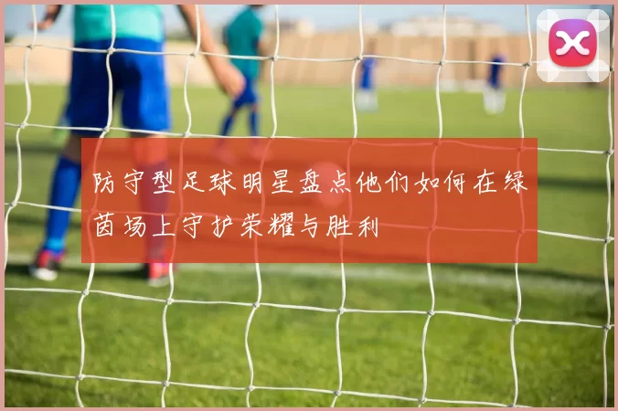 防守型足球明星盘点他们如何在绿茵场上守护荣耀与胜利