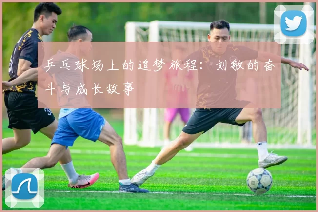 乒乓球场上的追梦旅程：刘敏的奋斗与成长故事