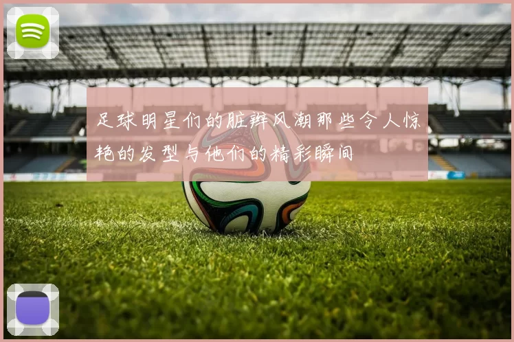 足球明星们的脏辫风潮那些令人惊艳的发型与他们的精彩瞬间