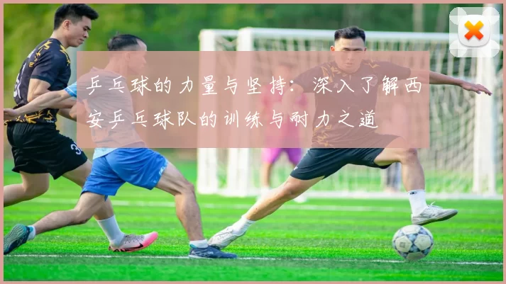 乒乓球的力量与坚持：深入了解西安乒乓球队的训练与耐力之道