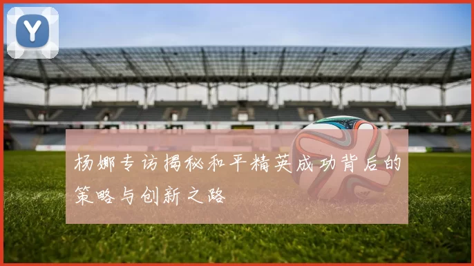 杨娜专访揭秘和平精英成功背后的策略与创新之路