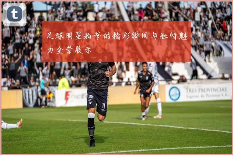 足球明星狗爷的精彩瞬间与独特魅力全景展示