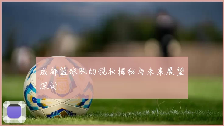 成都篮球队的现状揭秘与未来展望探讨