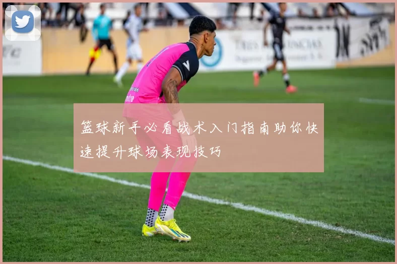 篮球新手必看战术入门指南助你快速提升球场表现技巧