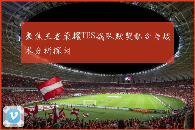 聚焦王者荣耀TES战队默契配合与战术分析探讨