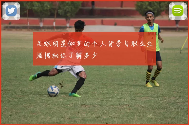 足球明星伽罗的个人背景与职业生涯揭秘你了解多少