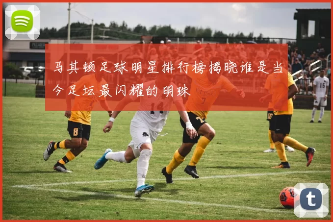 马其顿足球明星排行榜揭晓谁是当今足坛最闪耀的明珠