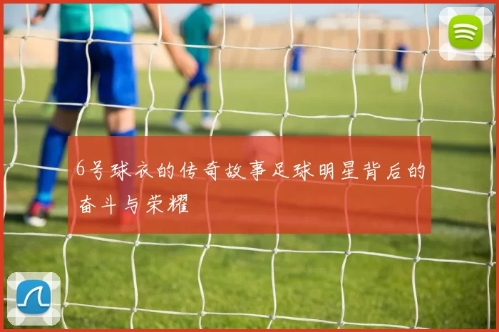 6号球衣的传奇故事足球明星背后的奋斗与荣耀