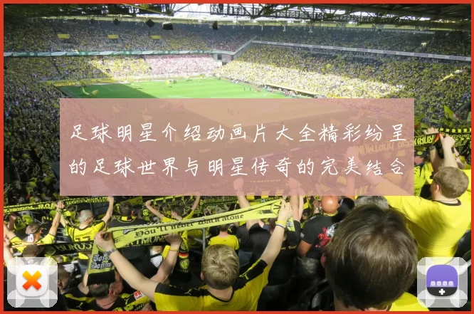 足球明星介绍动画片大全精彩纷呈的足球世界与明星传奇的完美结合