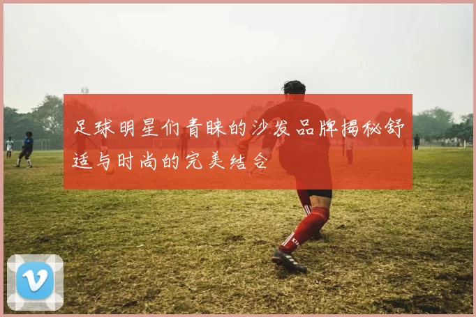 足球明星们青睐的沙发品牌揭秘舒适与时尚的完美结合