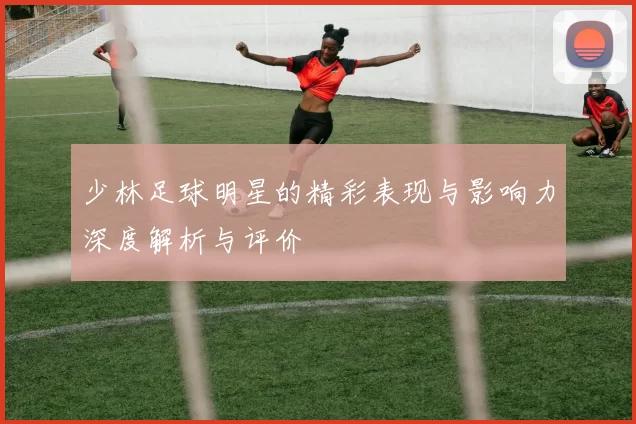 少林足球明星的精彩表现与影响力深度解析与评价