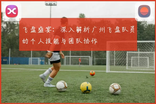 飞盘盛宴：深入解析广州飞盘队员的个人技能与团队协作