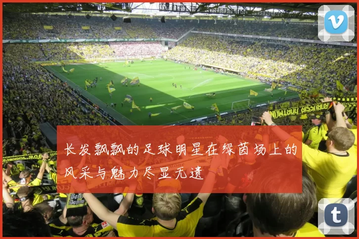 长发飘飘的足球明星在绿茵场上的风采与魅力尽显无遗