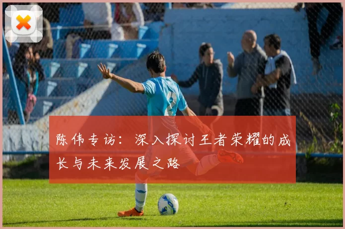 陈伟专访：深入探讨王者荣耀的成长与未来发展之路