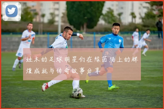 姓木的足球明星们在绿茵场上的辉煌成就与传奇故事分享