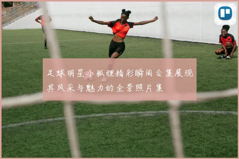 足球明星小狐狸精彩瞬间合集展现其风采与魅力的全景照片集