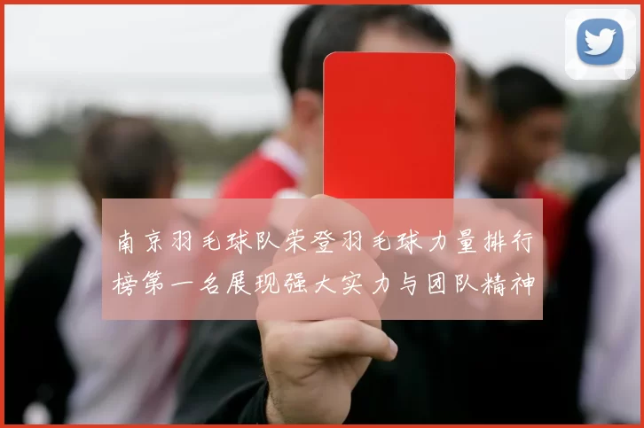 南京羽毛球队荣登羽毛球力量排行榜第一名展现强大实力与团队精神