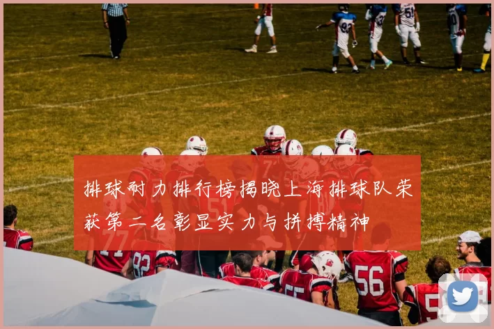 排球耐力排行榜揭晓上海排球队荣获第二名彰显实力与拼搏精神
