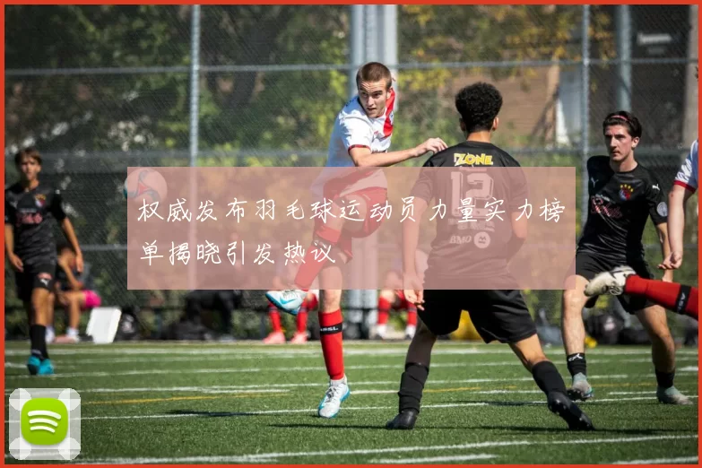 权威发布羽毛球运动员力量实力榜单揭晓引发热议